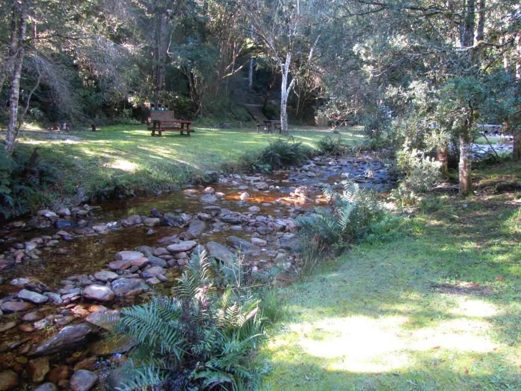 Jubilee Creek picnic area.